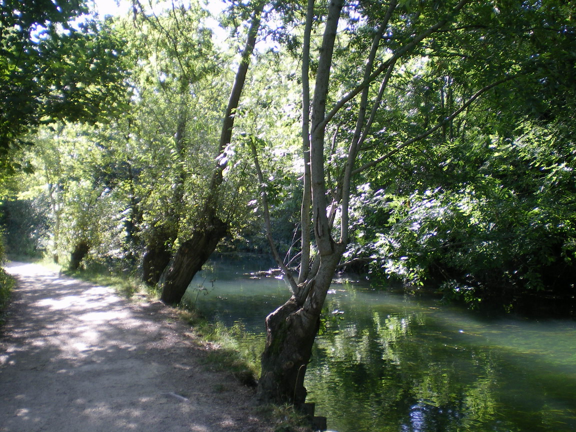 c0124619_151132.jpg