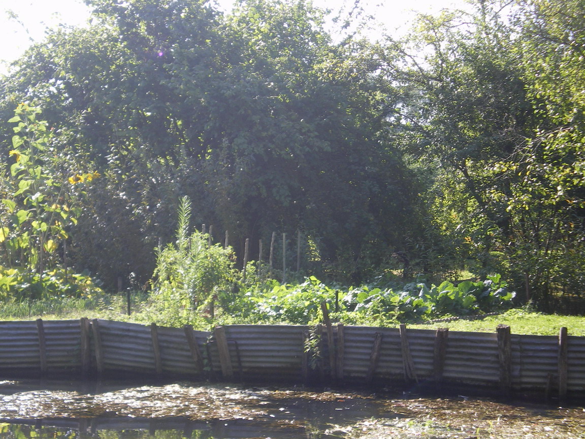 c0124619_152998.jpg