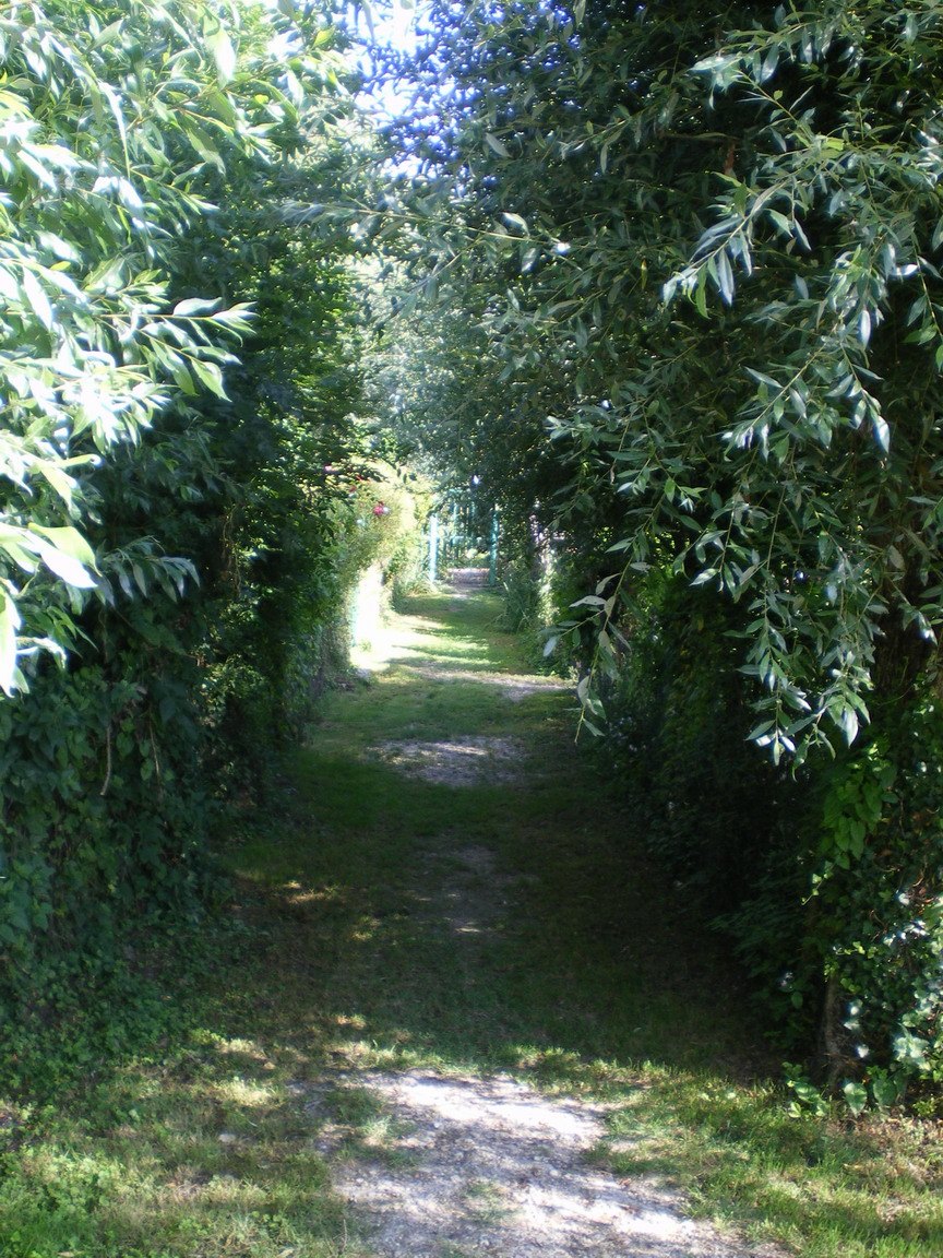 c0124619_1544127.jpg
