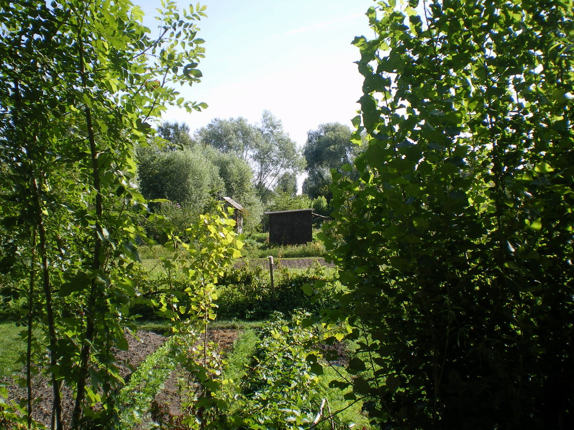 c0124619_157154.jpg