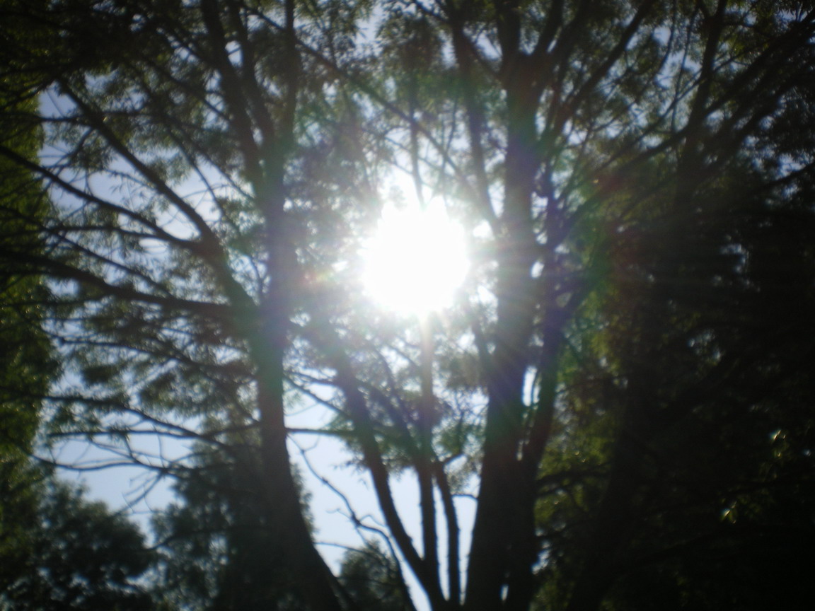 c0124619_3234616.jpg