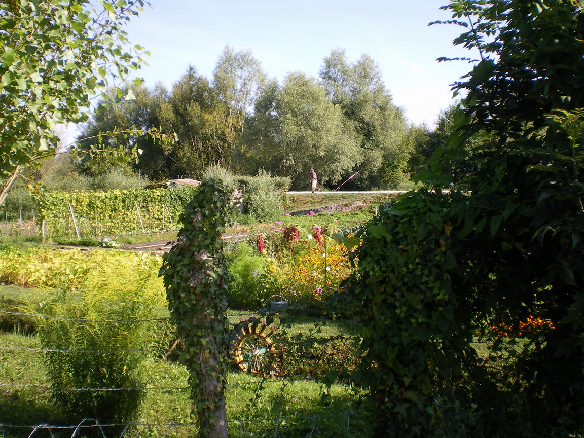 c0124619_324518.jpg