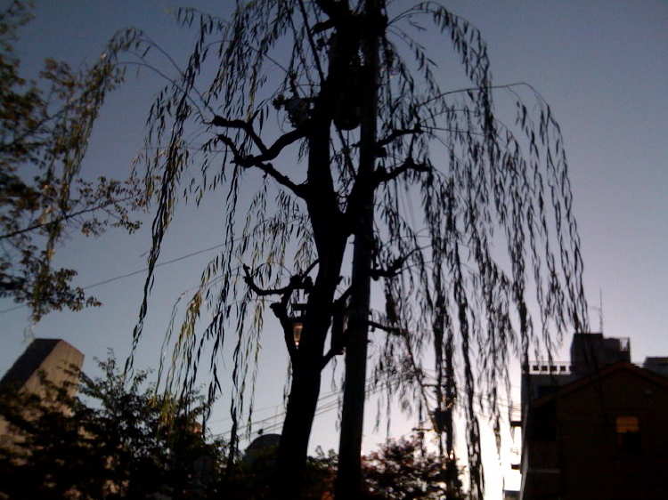 b0132924_12521254.jpg