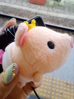 b0078127_14291527.jpg