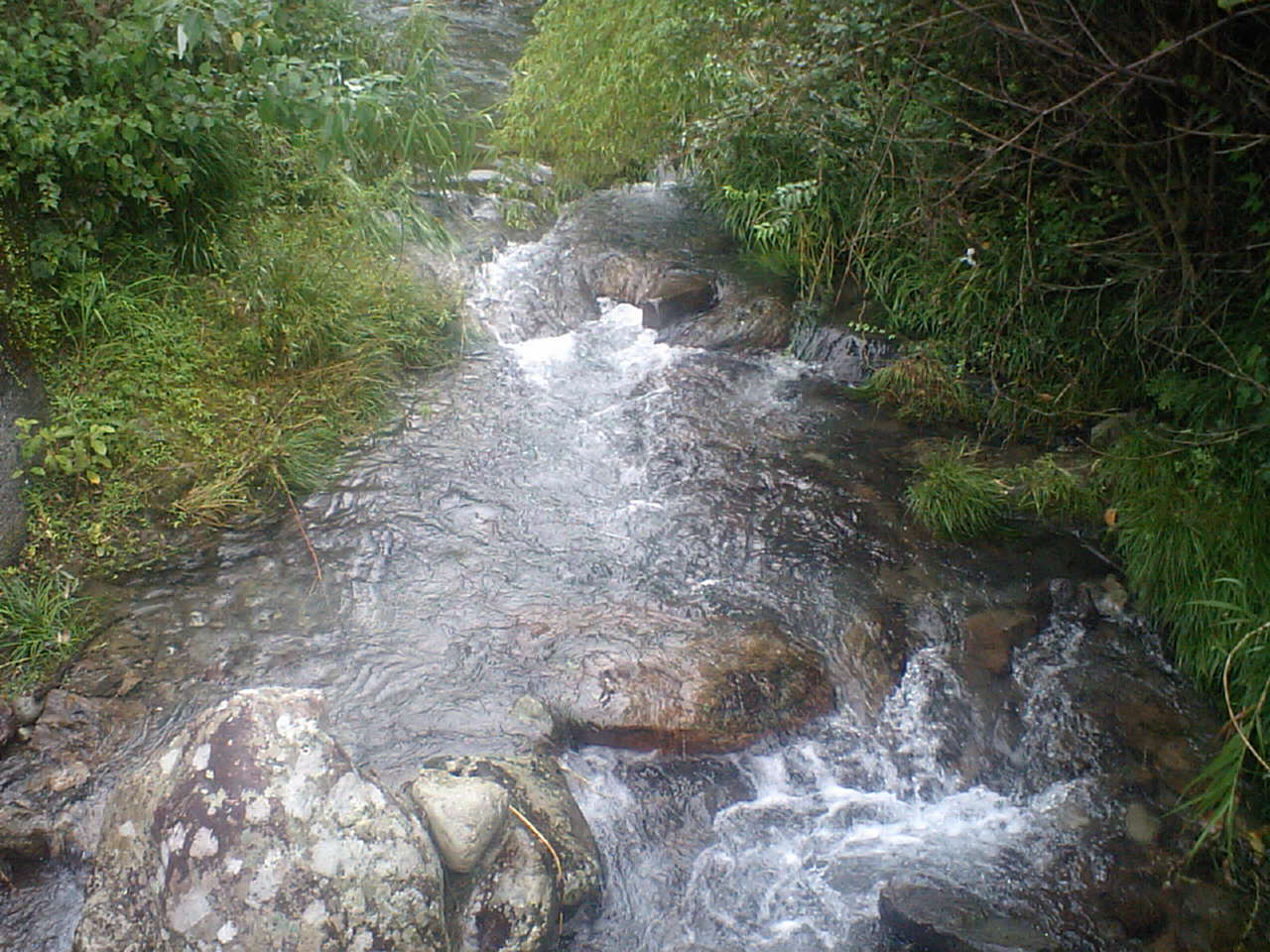 c0117028_10225723.jpg