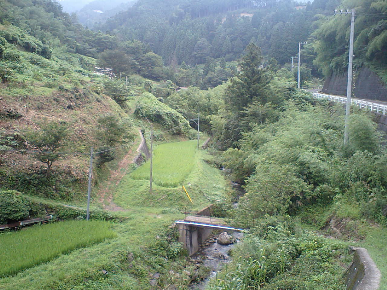 c0117028_10225783.jpg