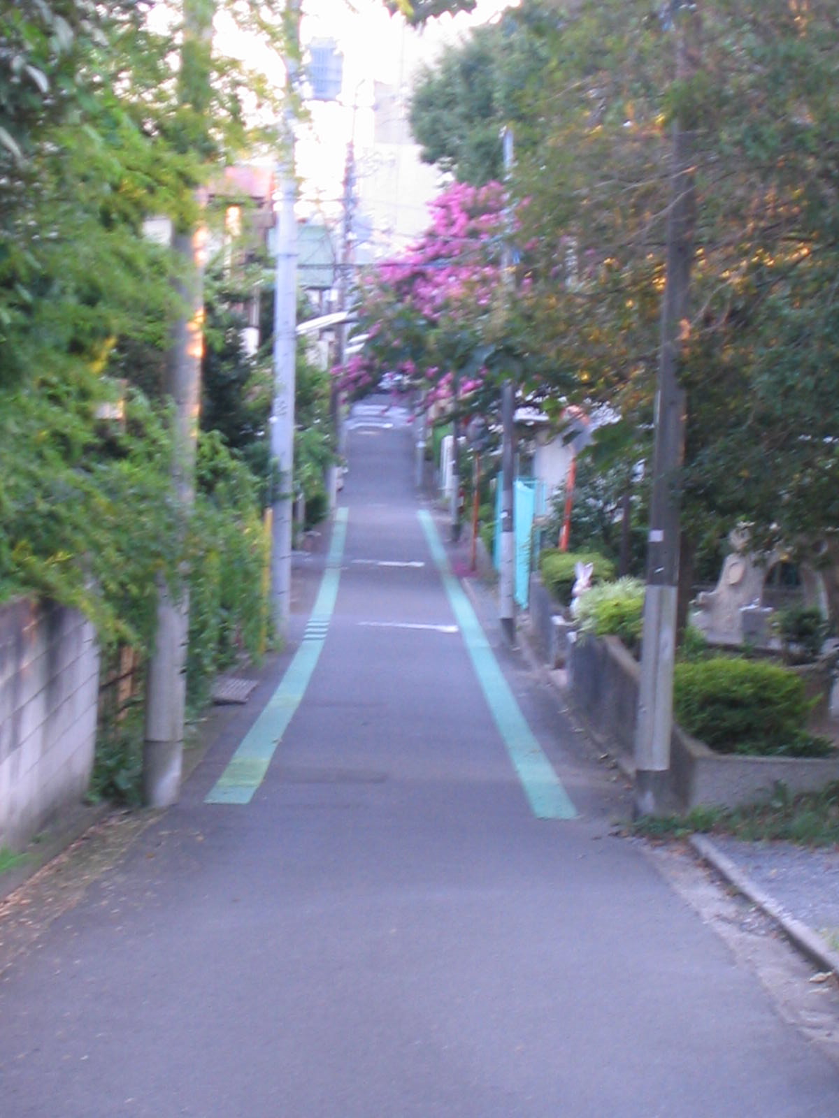 d0070444_21442875.jpg