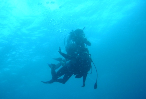 f0000644_27517.jpg