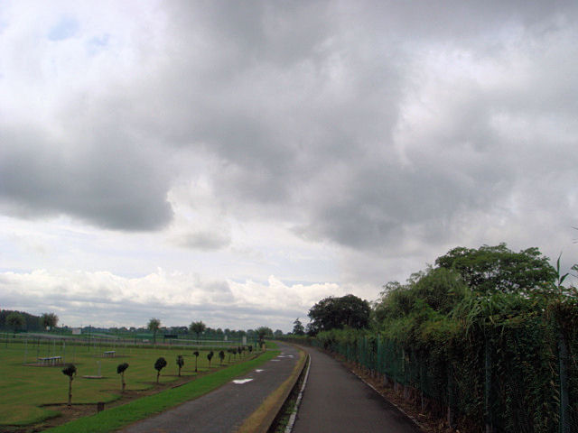 Beyond The Sea　再び・・・ その２_b0136045_2125817.jpg