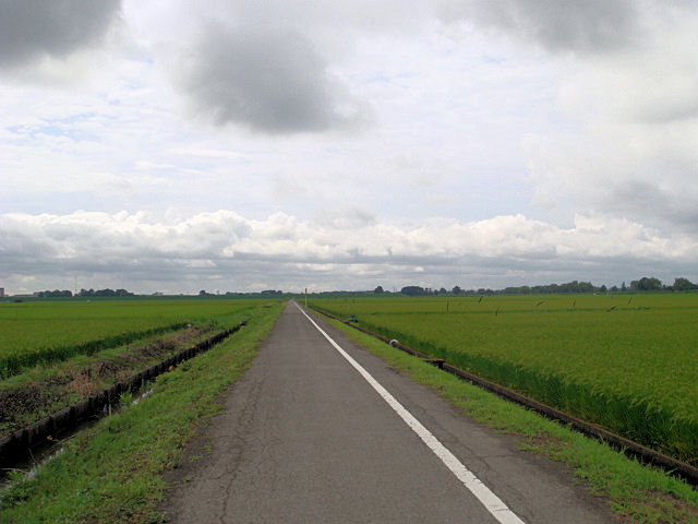 Beyond The Sea　再び・・・ その２_b0136045_237101.jpg