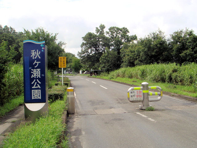 Beyond The Sea　再び・・・ その２_b0136045_2595425.jpg