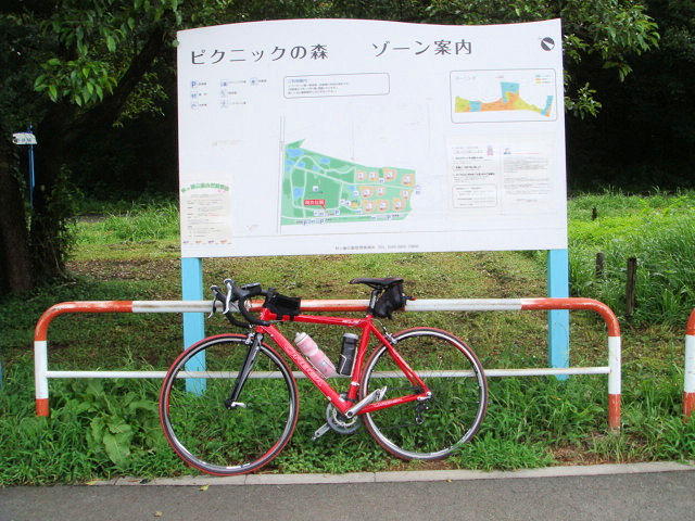 Beyond The Sea　再び・・・ その２_b0136045_37359.jpg