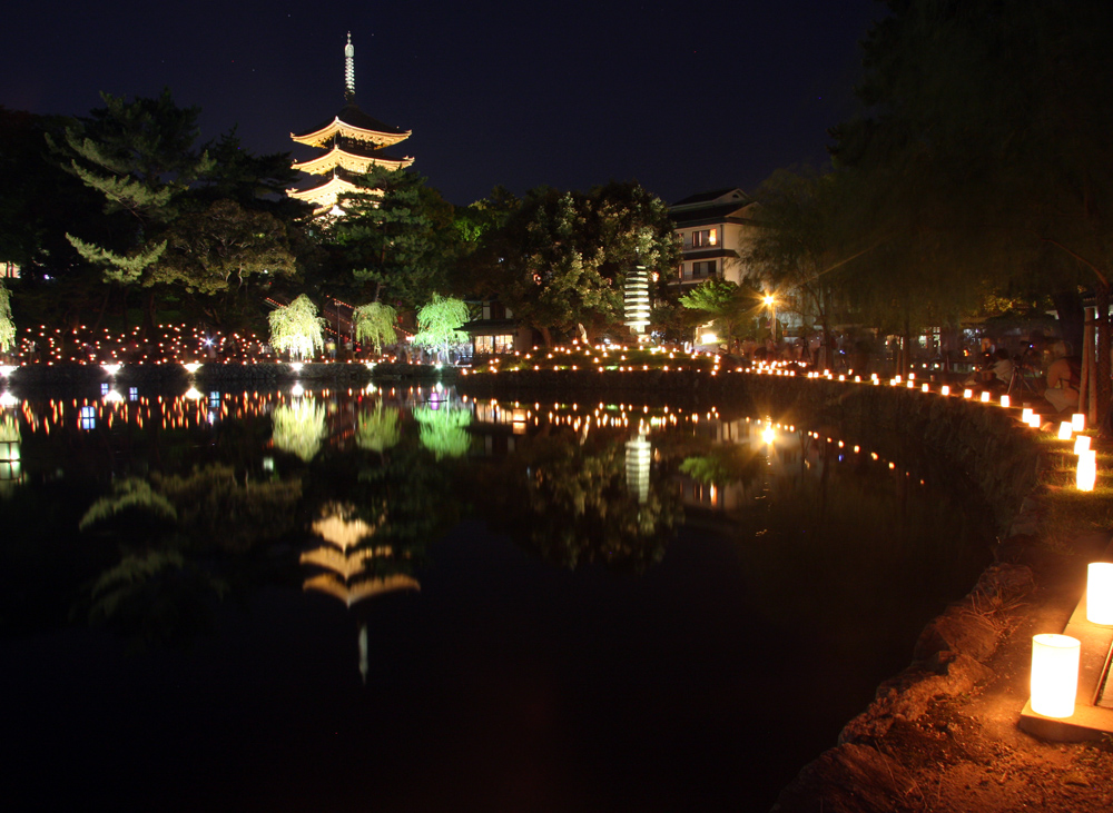 奈良公園　なら燈花会（とうかえ）　猿沢の池_c0108146_1825335.jpg