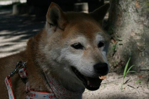 3年ぶりに_c0049950_2243616.jpg