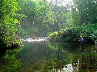 お盆釣行・岩魚の棲む清流　第一幕_c0097652_19332962.jpg