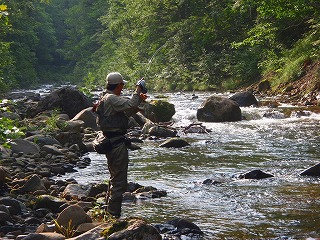 c0097652_19394056.jpg