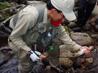 お盆釣行・岩魚の棲む清流 第二幕_c0097652_2021212.jpg