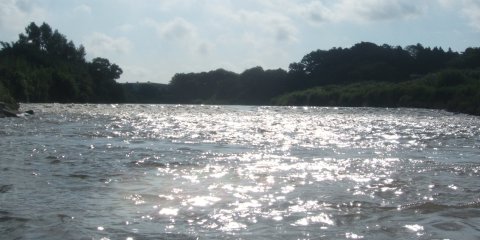 e0020752_1953768.jpg