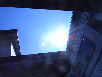 a0109474_1562251.jpg