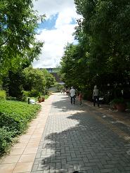 f0021982_2110076.jpg