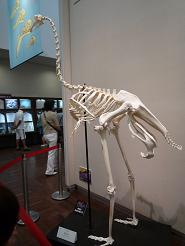 f0021982_21181124.jpg