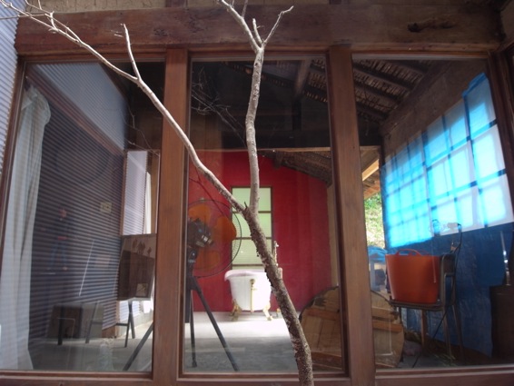 d0097288_0194270.jpg