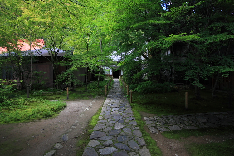 蓮華寺_e0051888_6514321.jpg