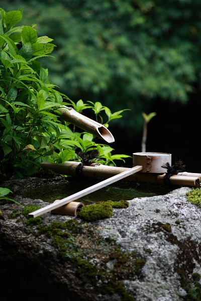 蓮華寺_e0051888_6525575.jpg
