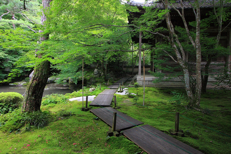 蓮華寺_e0051888_6535092.jpg