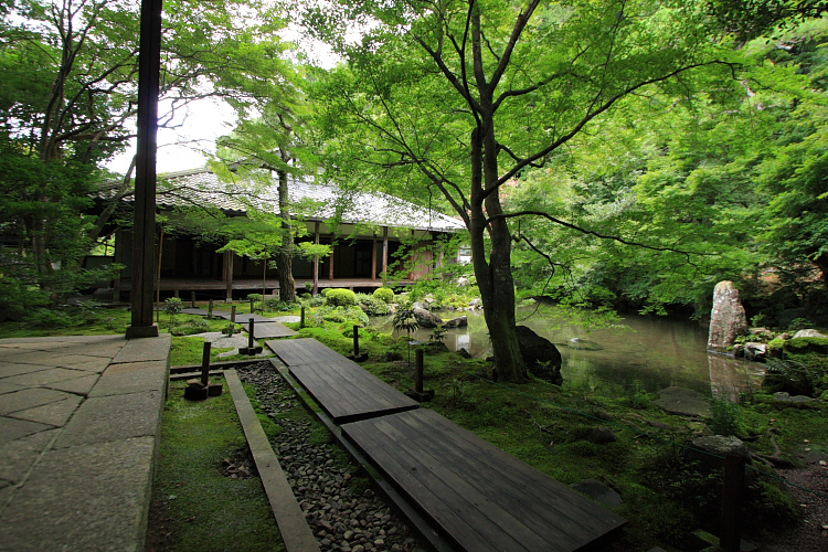 蓮華寺_e0051888_6541657.jpg