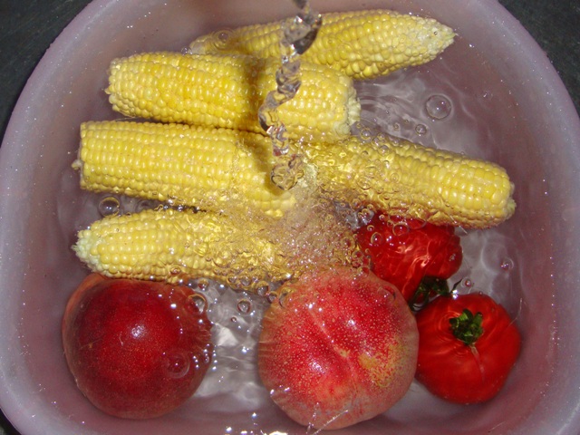 戸隠の思い出(その2)_a0126590_0325536.jpg