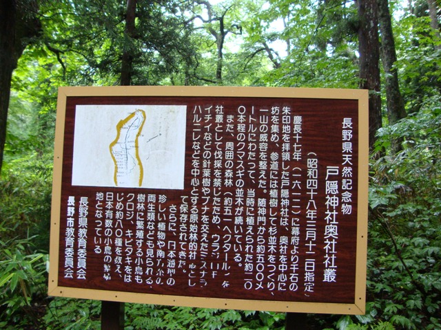 戸隠の思い出(その3)_a0126590_23364164.jpg