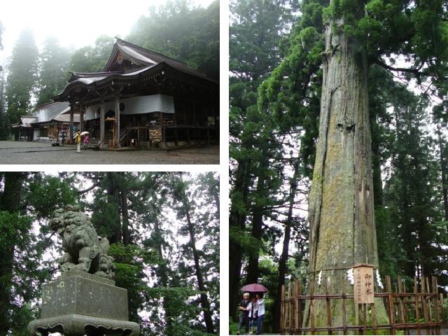 戸隠の思い出(その3)_a0126590_2338195.jpg