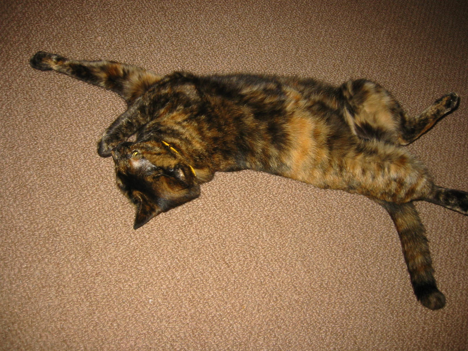 f0057094_14465866.jpg