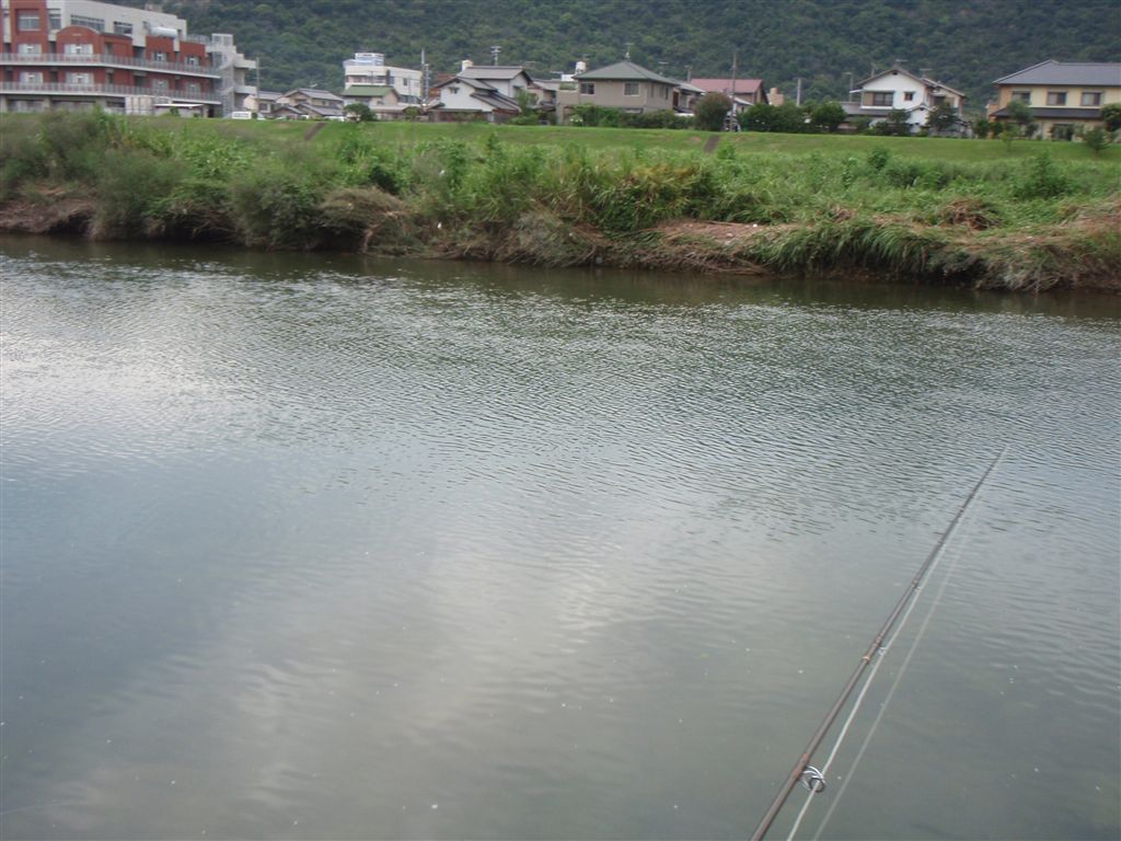 c0177497_20492747.jpg