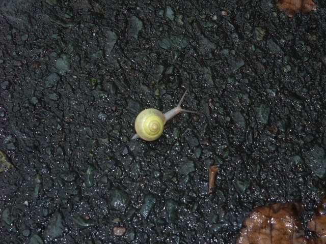 c0183801_21522856.jpg
