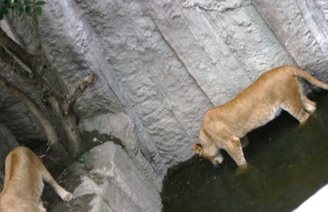 c0155902_10592825.jpg