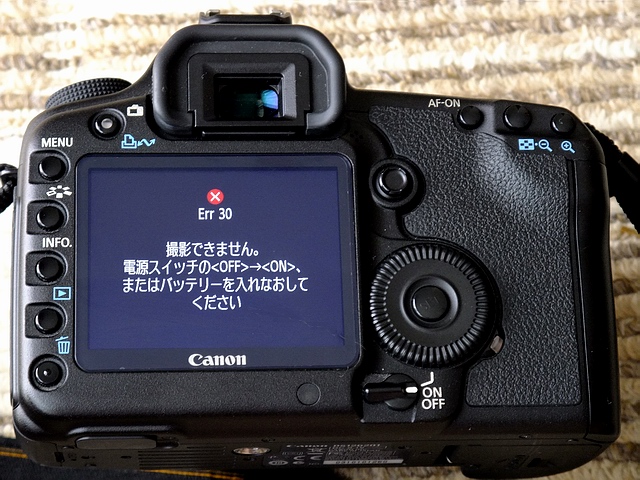 c0043403_23485385.jpg