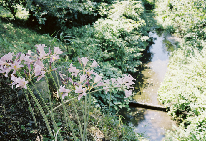 c0120903_4384155.jpg