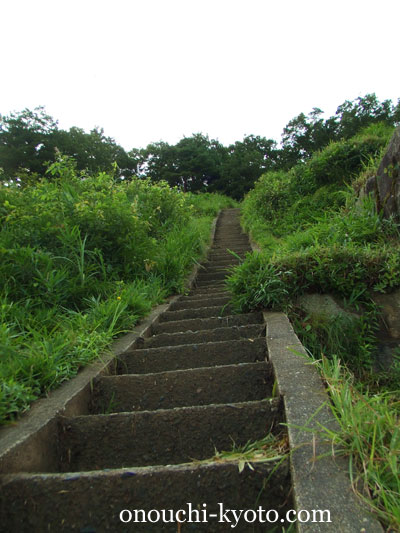 大文字五山の送り火_f0184004_12351264.jpg