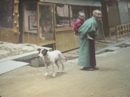 日本テリア ８月１６日 Capira きまぐれ日記