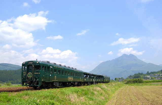 d0070316_97555.jpg
