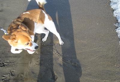 Ｂeach Girl！_c0084117_14402440.jpg