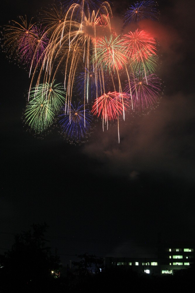 hanabi_d0109319_2059511.jpg