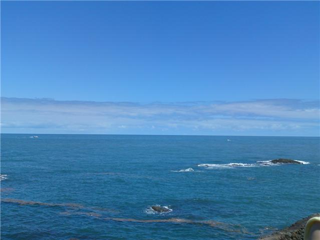 f0013519_9572345.jpg