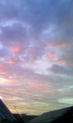 c0150520_6534951.jpg