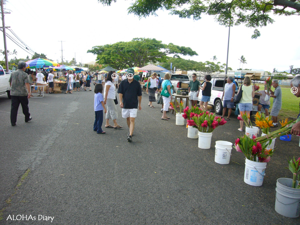 カイルアの朝市/PEOPLE\'S OPEN MARKET_e0163721_843433.jpg