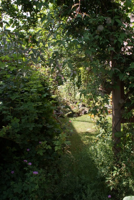 f0170524_1344187.jpg