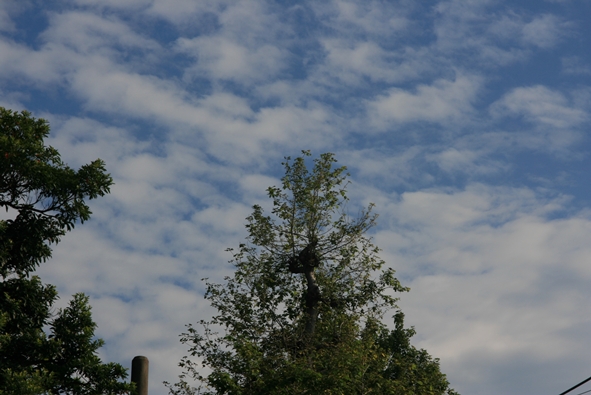 a0134428_20315194.jpg