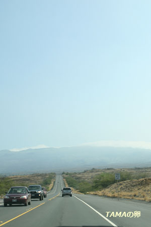 c0024729_1120814.jpg